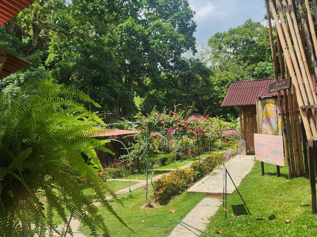 春努旅馆与帐篷营地明卡主图