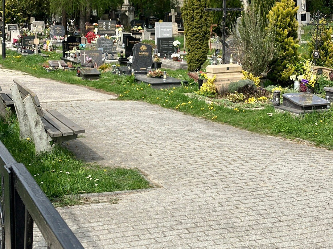 Friedhof von Devin-Devin必去景点