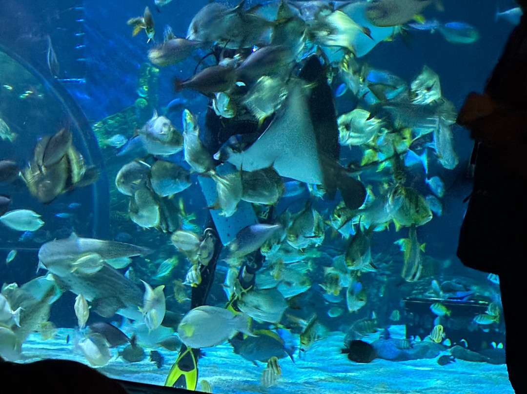 Angkor Wildlife & Aquarium-暹粒必去景点