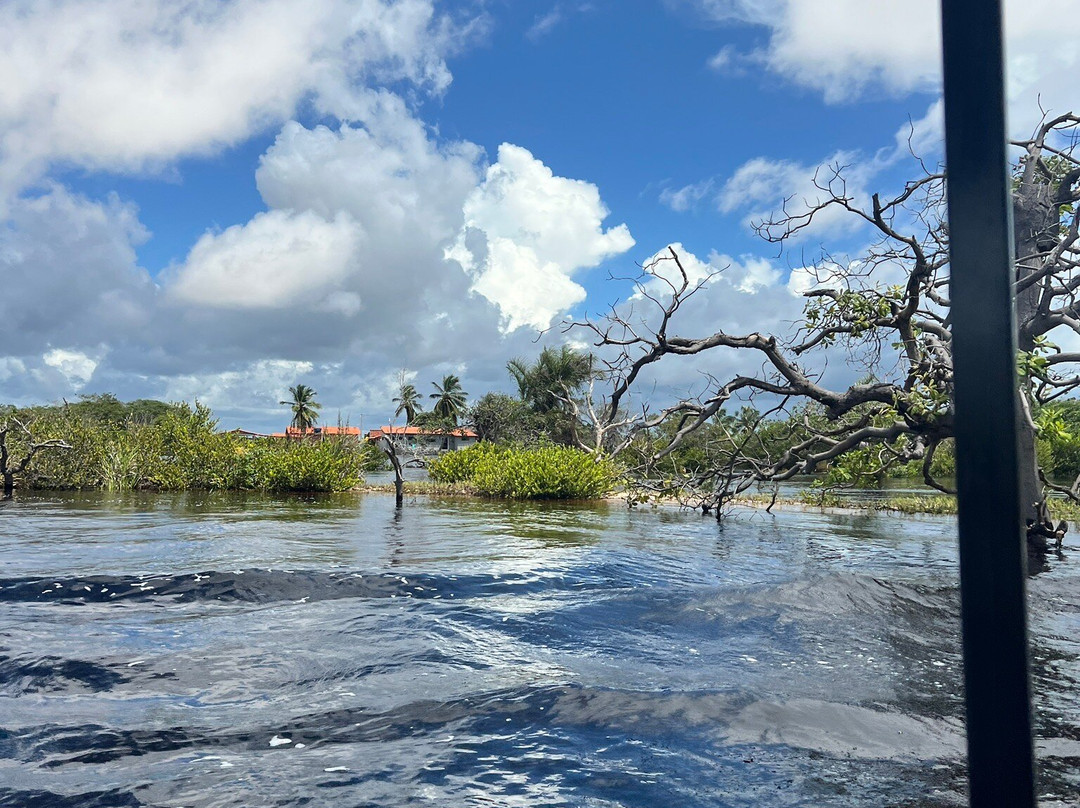 Lagoa Betânia-Santo Amaro do Maranhao必去景点