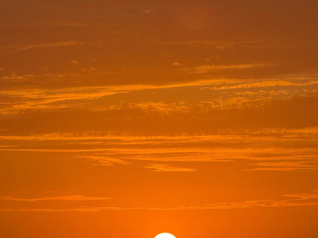 Matt's Fishing & Tours-萨迪纳尔必去景点