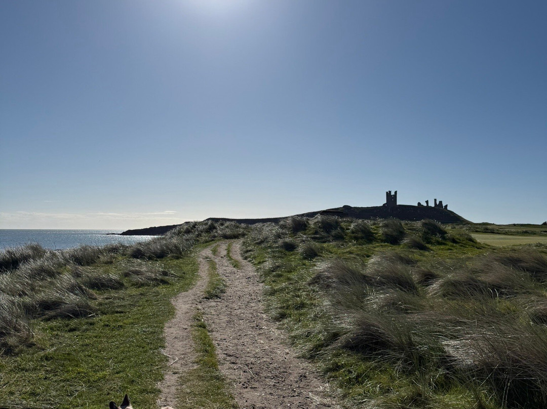 Dunstanburgh Castle-Craster必去景点