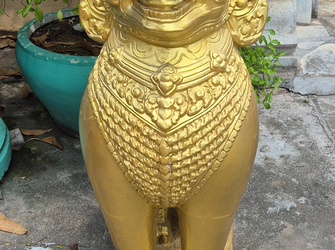 Mekong River Luxury Cruises-芹苴必去景点