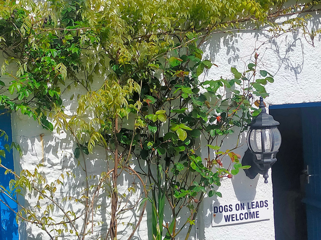 Ruan High Lanes餐馆和美食-The Ship Inn Portloe