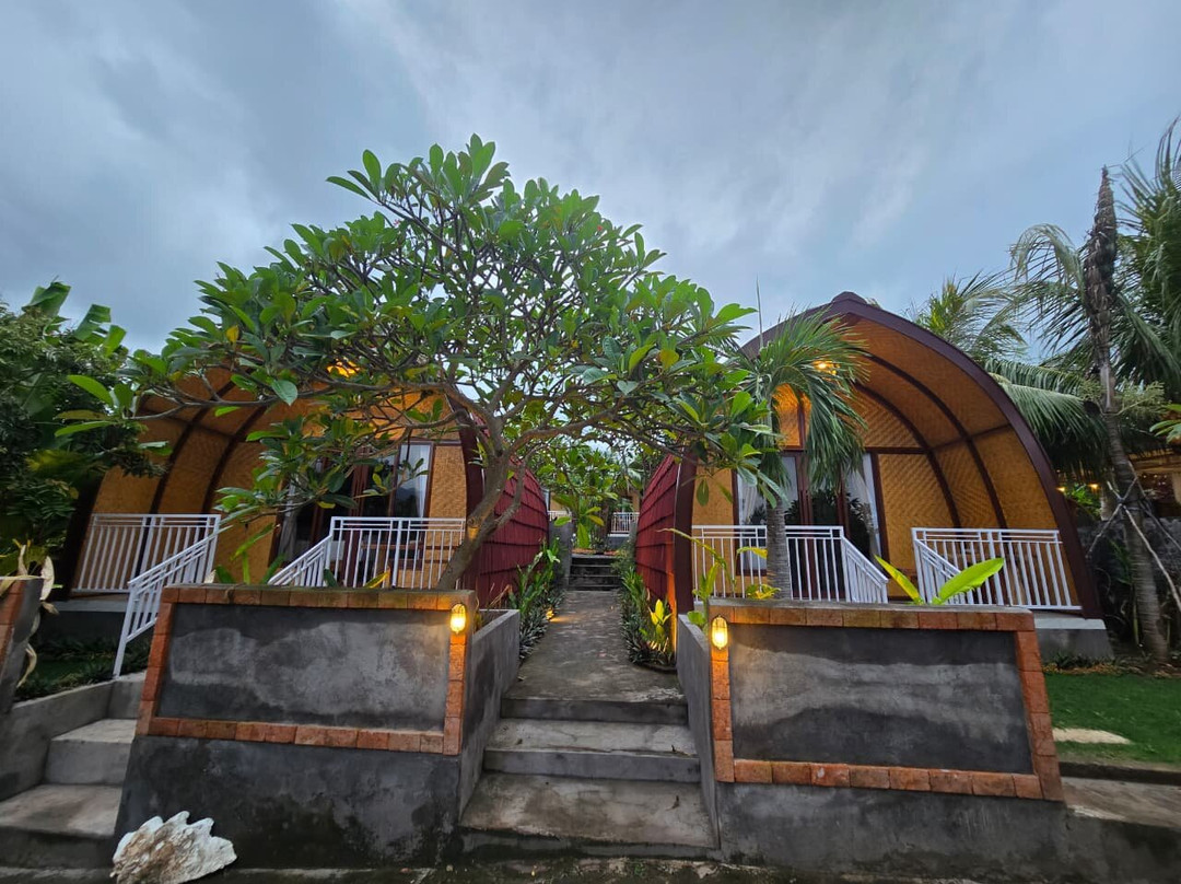 Eco Moringa Garden