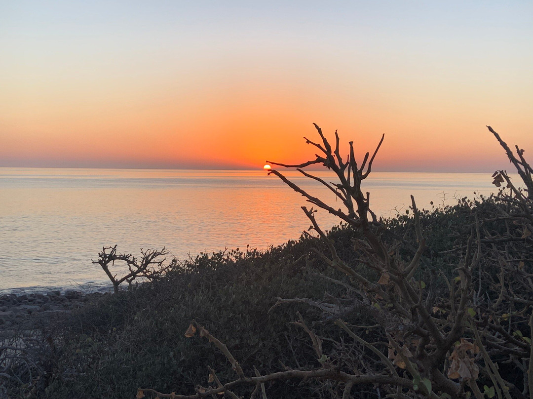 Cabo Pulmo Adventures-Cabo Pulmo必去景点