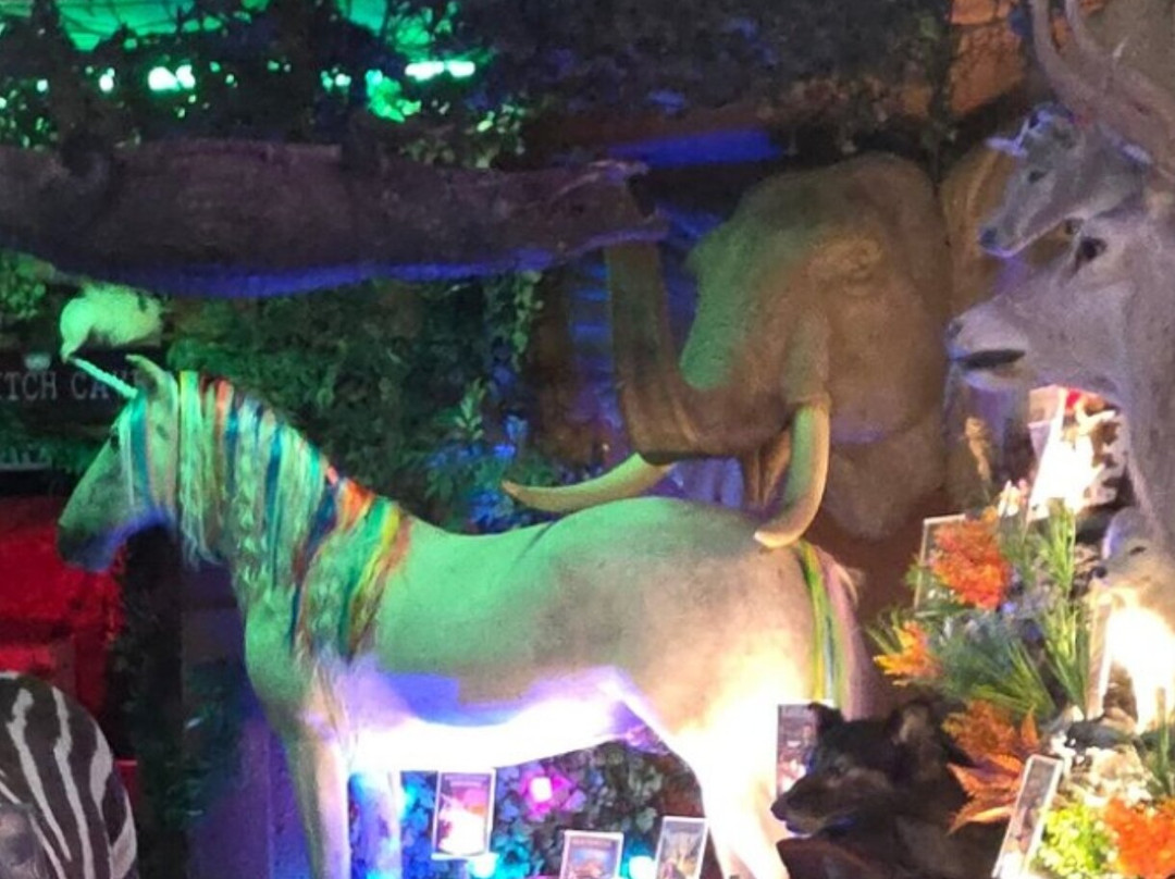 The Museum Of Curiosities-诺丁汉必去景点