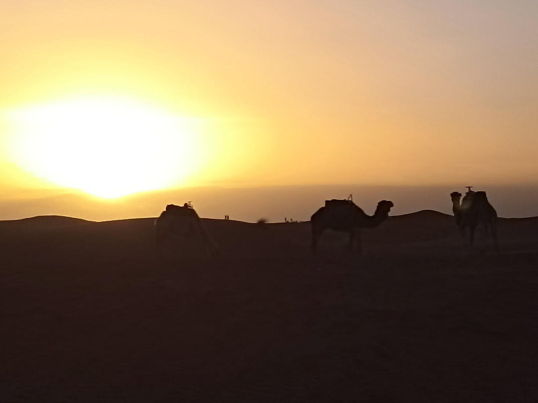 Authentic Travel Maroc - Private Day Tours-卡萨布兰卡必去景点