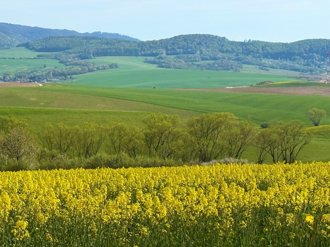 Slovak Tour Guide  Day Tours-Presov必去景点