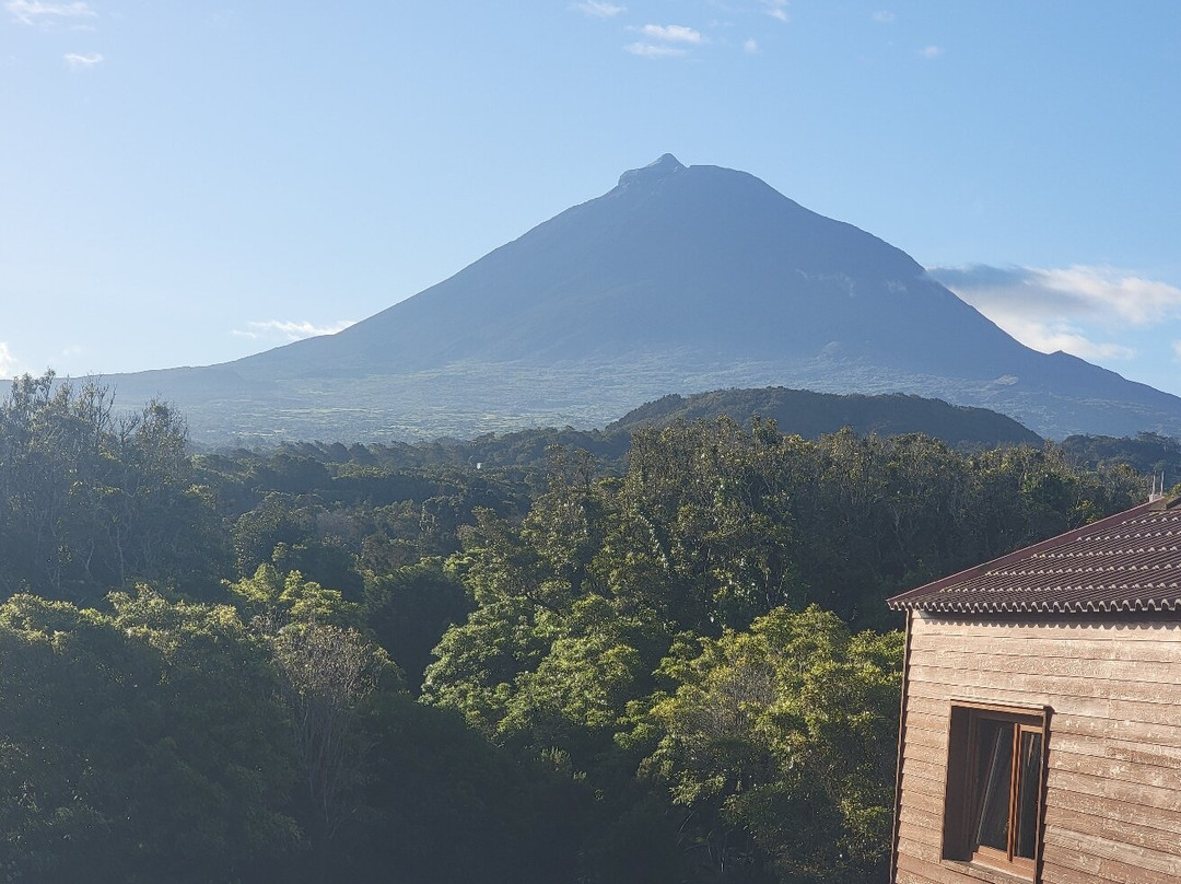 Alma do Pico - Nature Residence主图