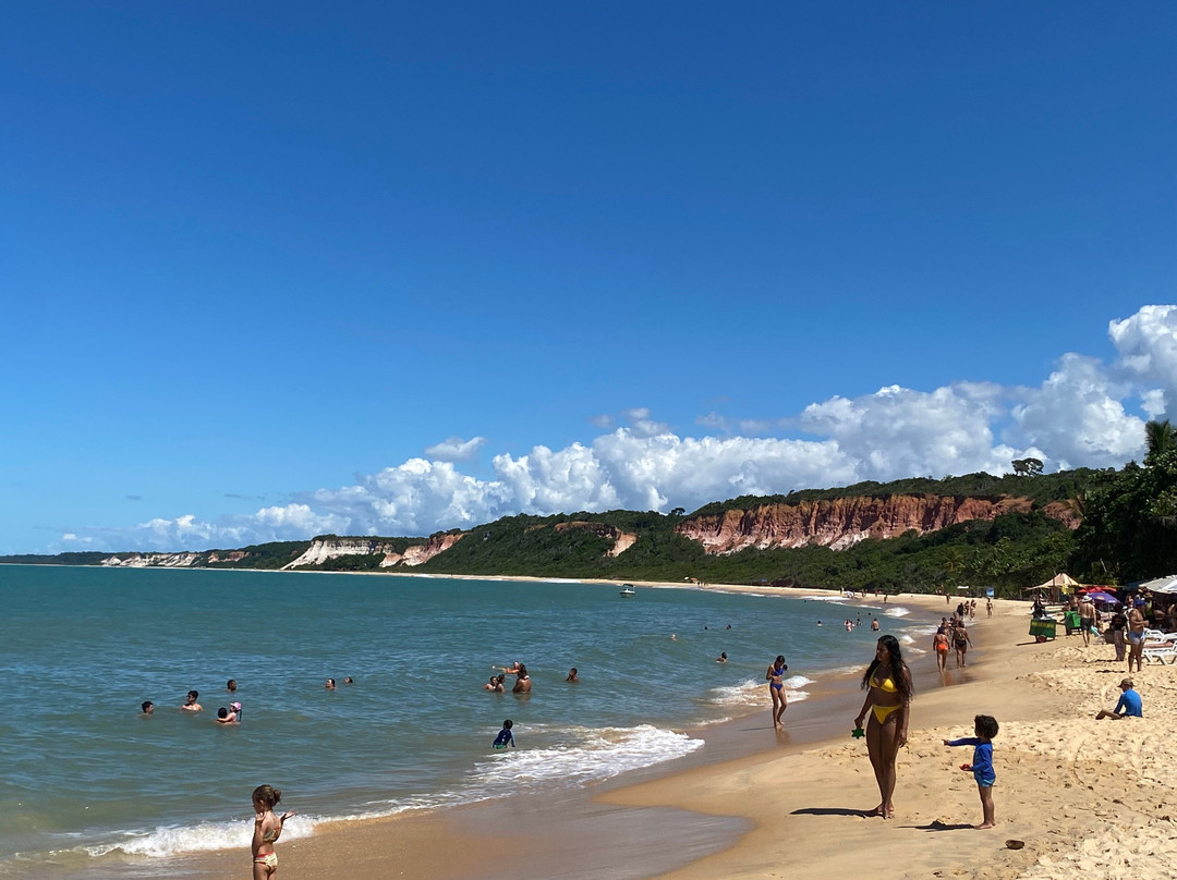 Pitinga Beach-Arraial d'Ajuda必去景点