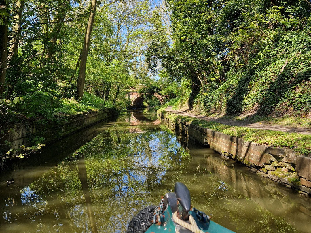 Union Wharf Narrowboats-马基特哈伯勒必去景点