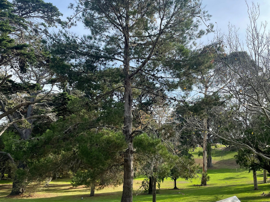 Sorrento Park-索伦托必去景点