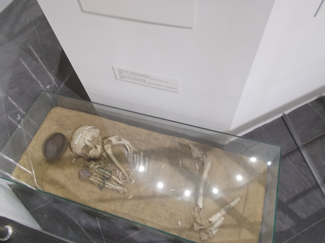 National Museum of History-索非亚必去景点