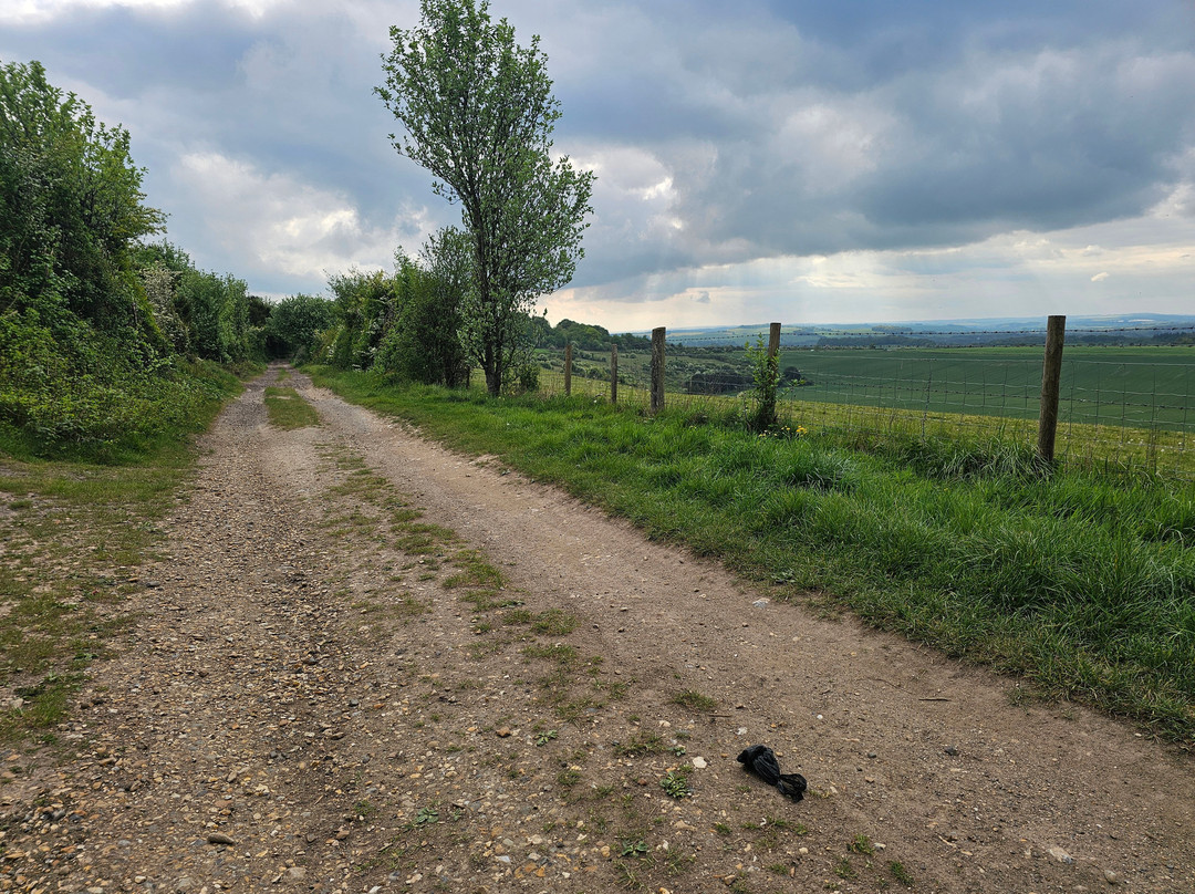 National Trust - Pepperbox Hill-Alderbury必去景点