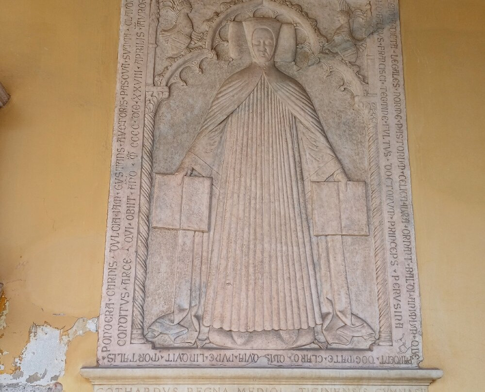Pavia University History Museum-帕维亚必去景点