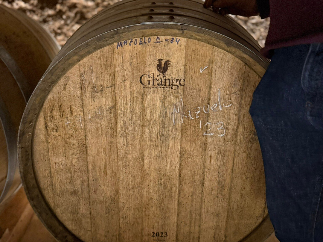 Bodegas Tritium-Cenicero必去景点