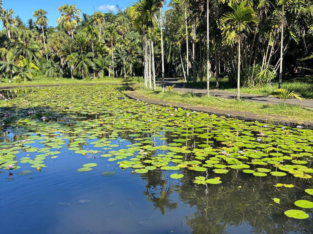 Paradisio Excursions Ile Maurice-大湾必去景点