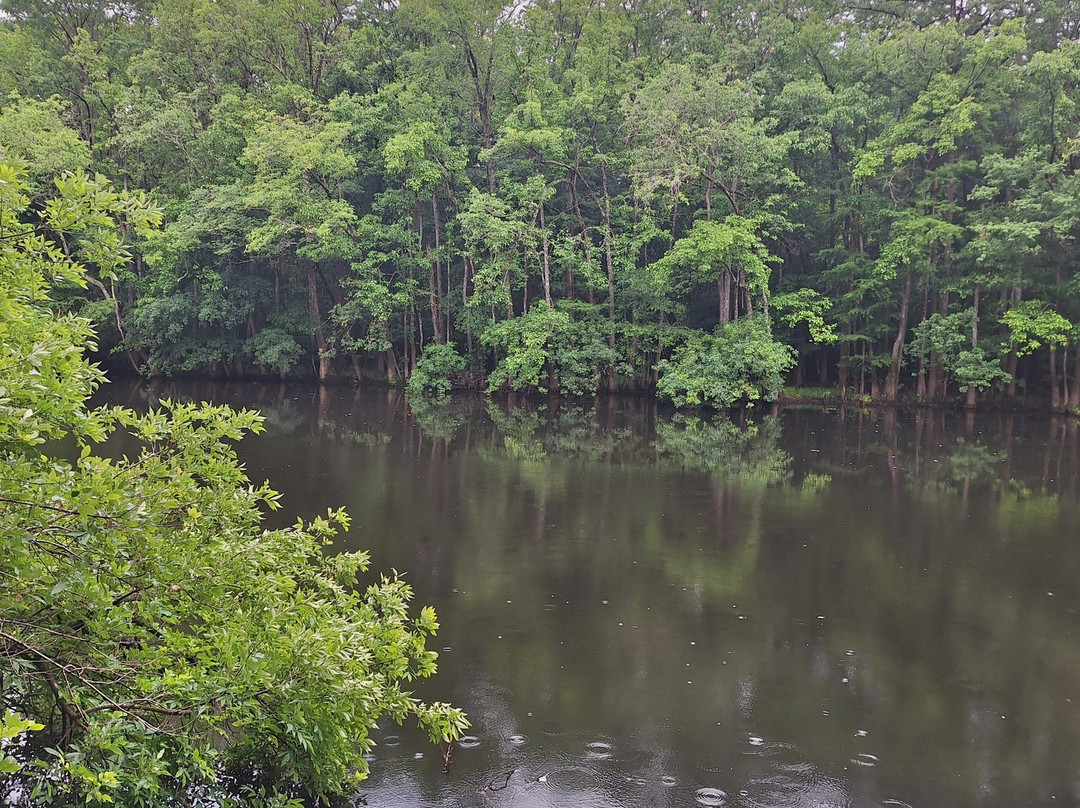 Congaree National Park-Hopkins必去景点