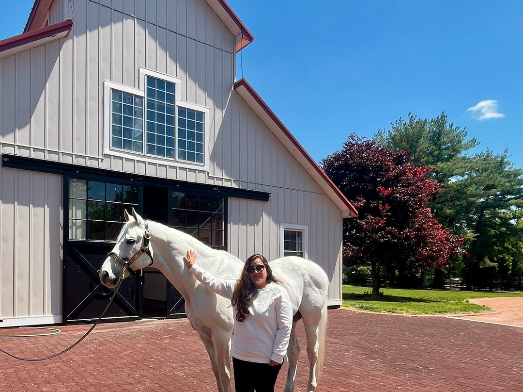 UnBridled Horse Tours-Midway必去景点