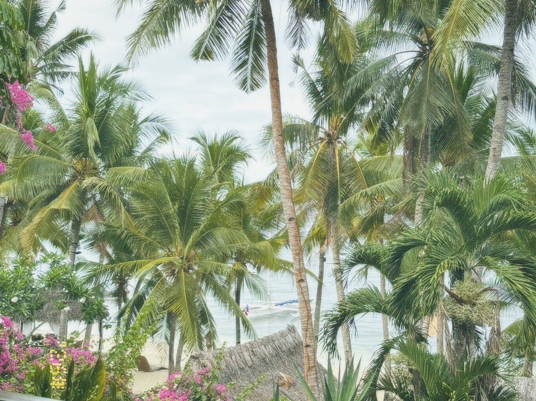 锡基霍尔岛椰树林海滩度假村主图