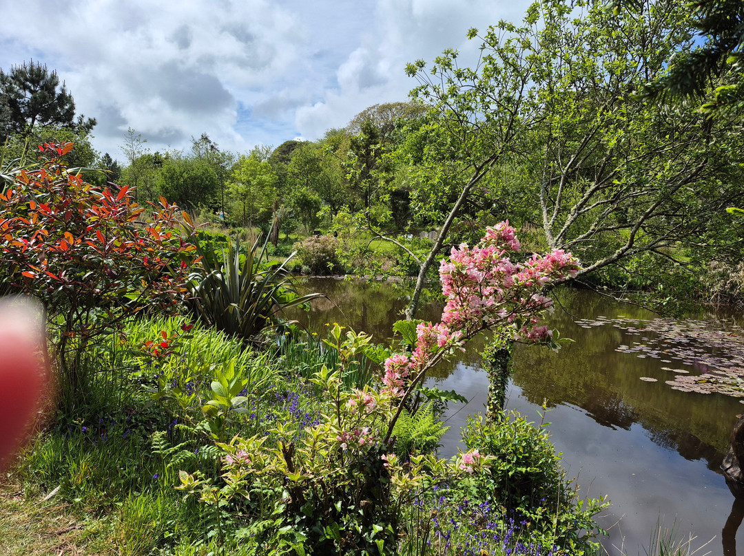 Tanglewood Wild Garden-彭赞斯必去景点