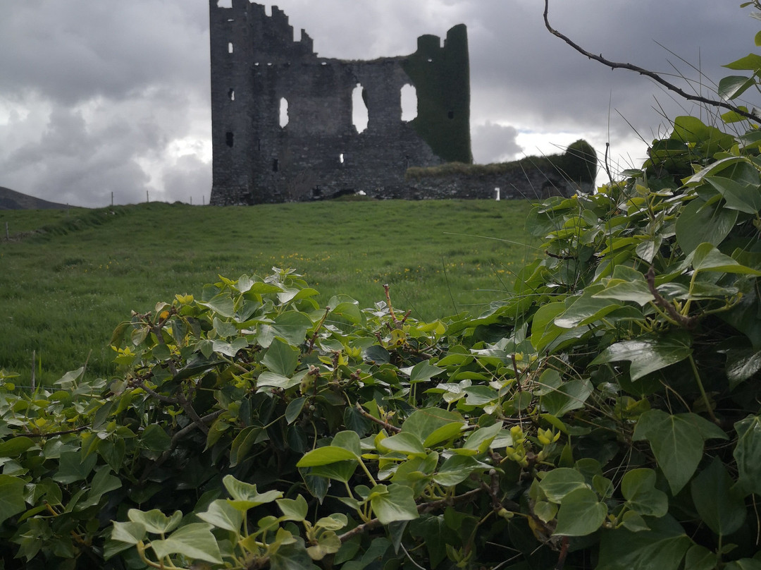 Kerry Experience Tours-Sneem必去景点