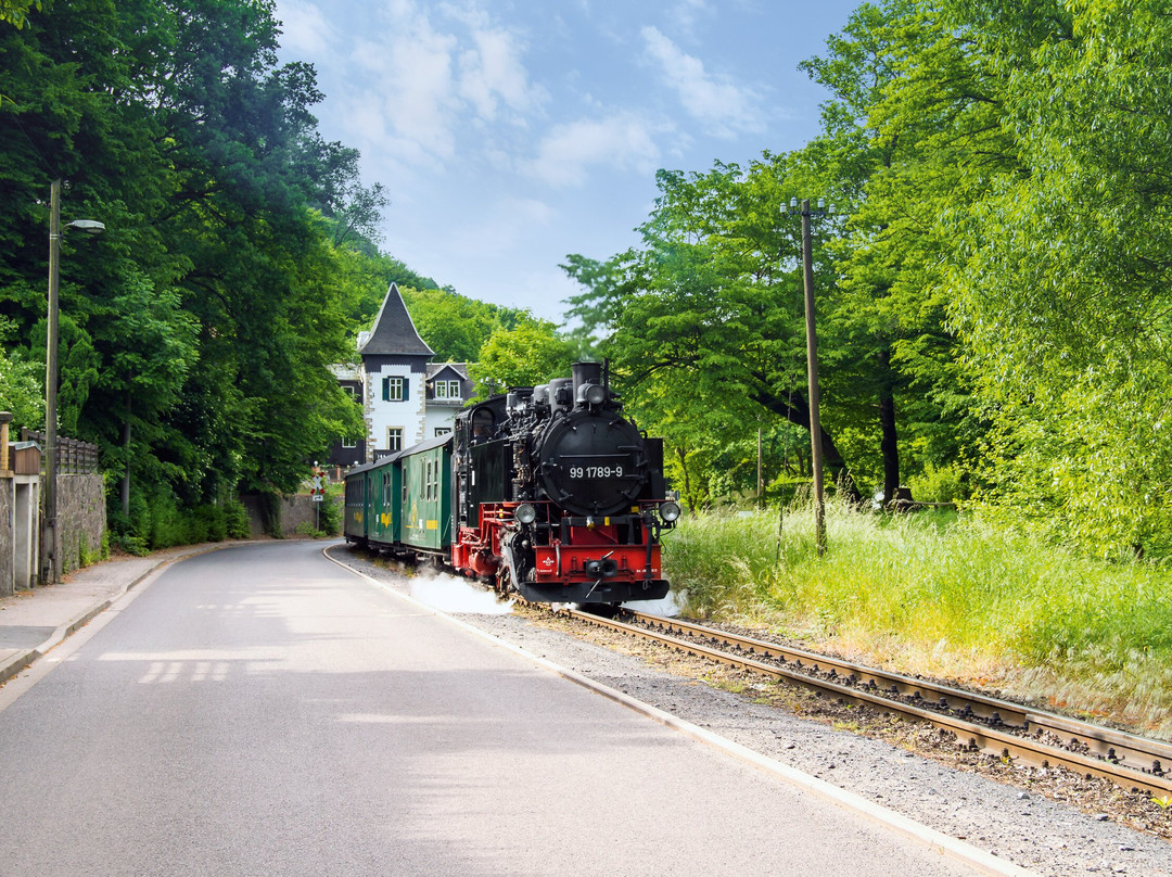 Löeßnitzgrundbahn-莫里茨堡必去景点