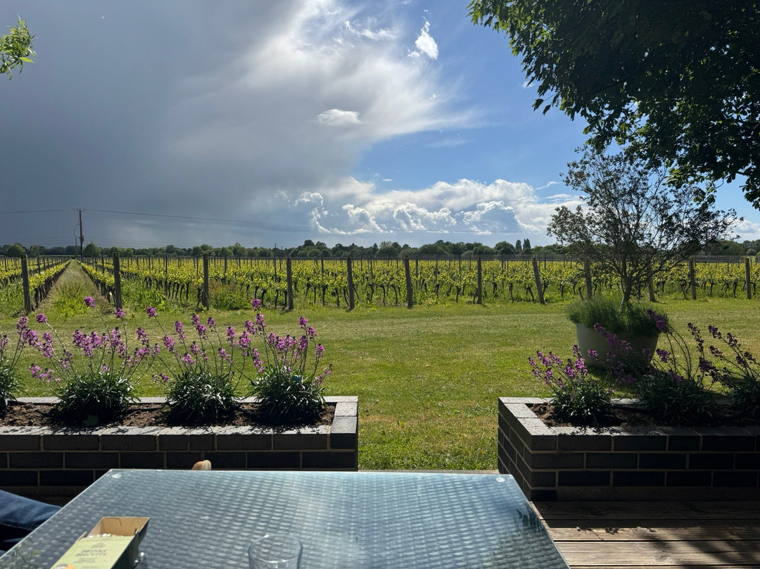 Tinwood Estate Vineyard-奇切斯特必去景点