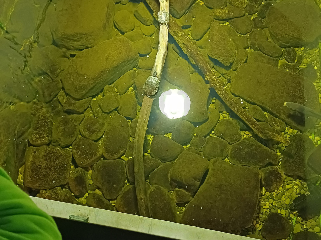 Kastoria Aquarium-卡斯托里亚必去景点