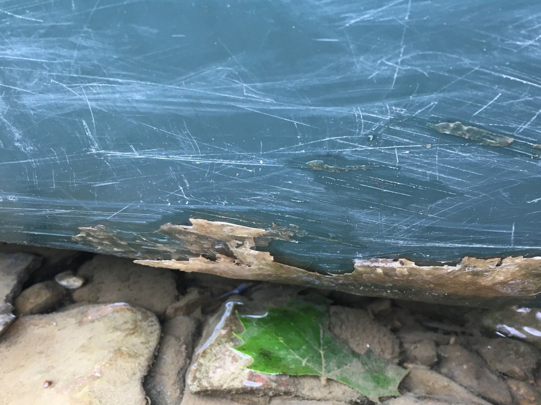 Sugar Valley Canoe Trips-Marshall必去景点