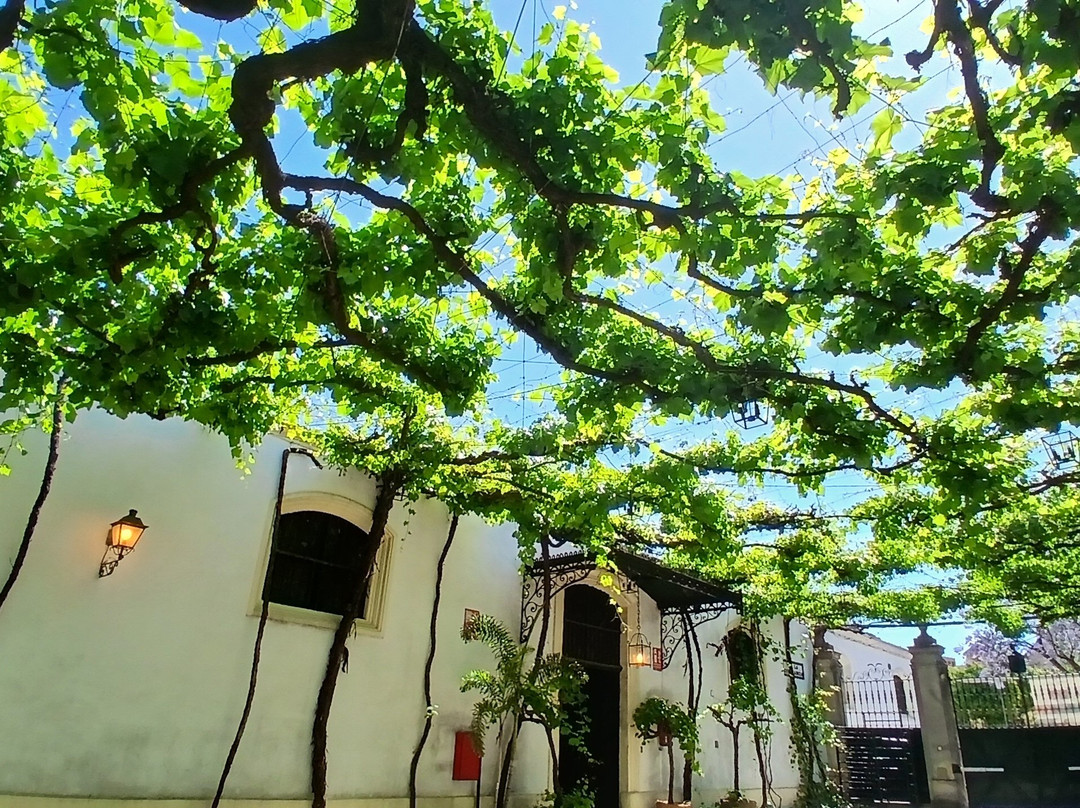 Bodegas Tio Pepe-赫雷斯德拉弗隆特拉必去景点