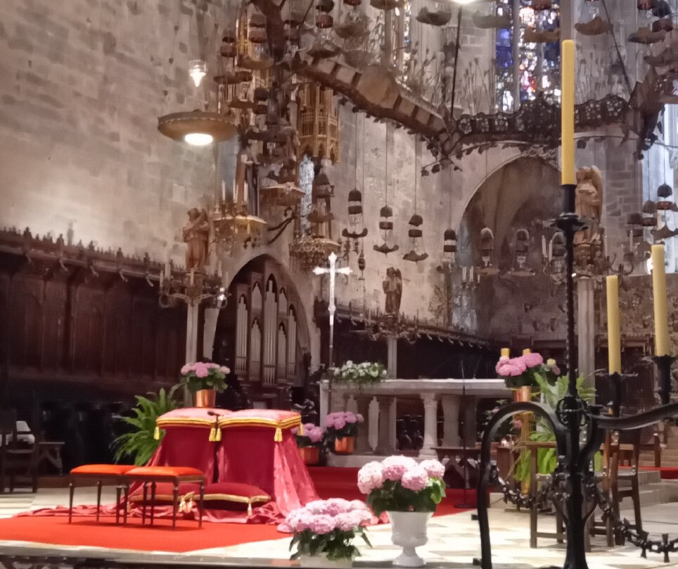 Cathedral de Mallorca-马洛卡帕尔马必去景点