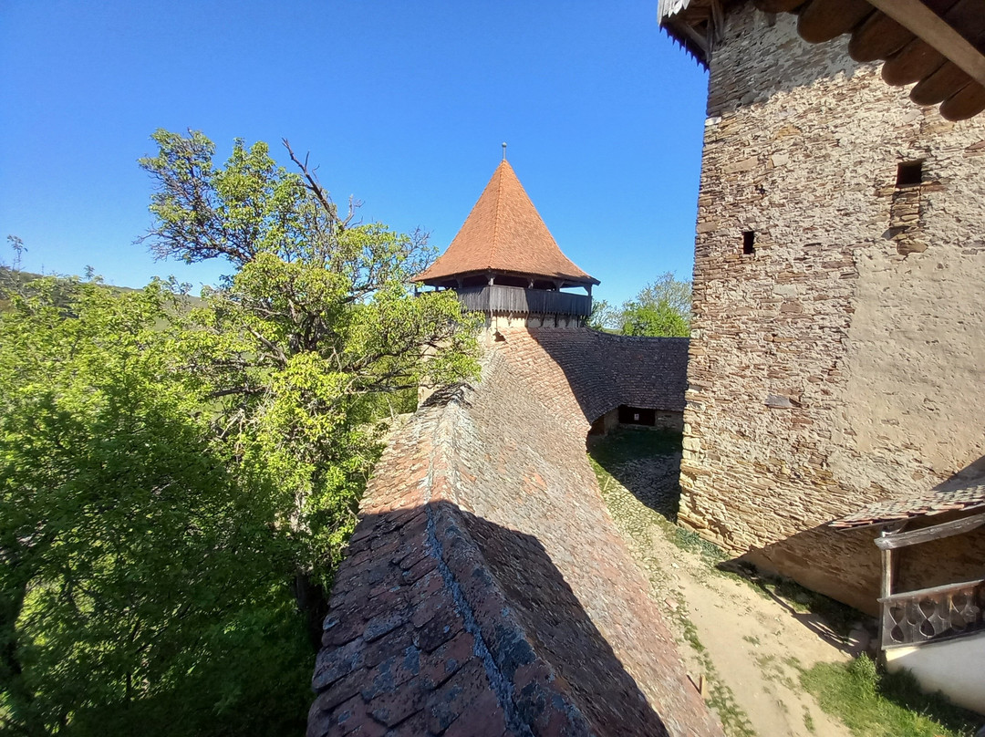 Village de Viscri-Viscri必去景点