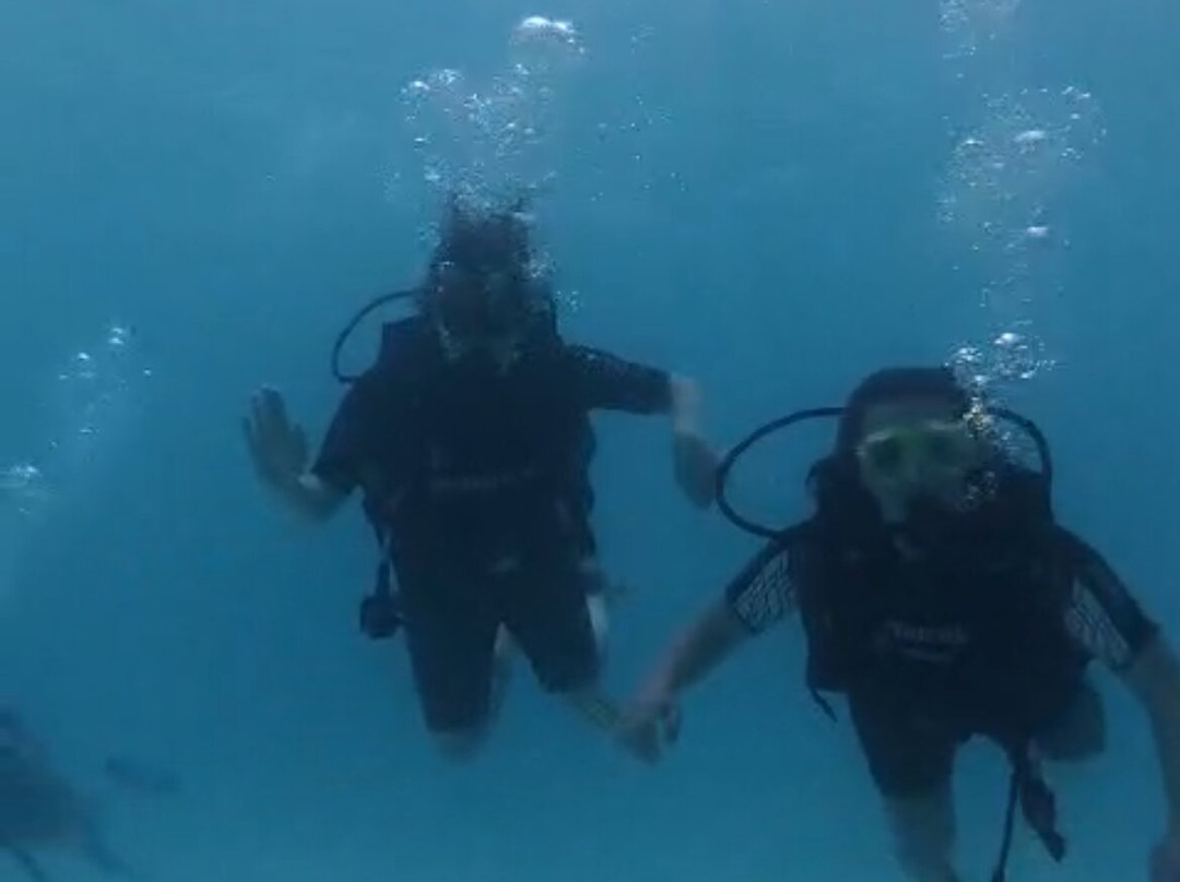 Amphibuzz Dive-Thulusdhoo Island必去景点