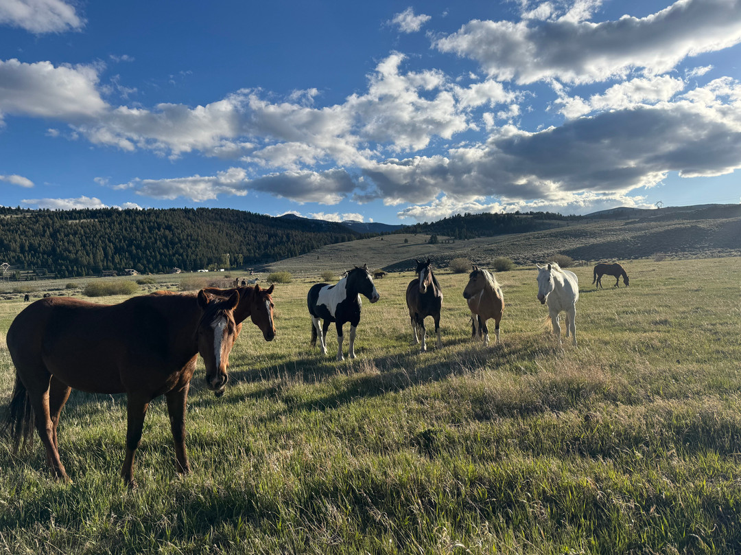 Silver Spur Ranch Idaho-Dubois必去景点