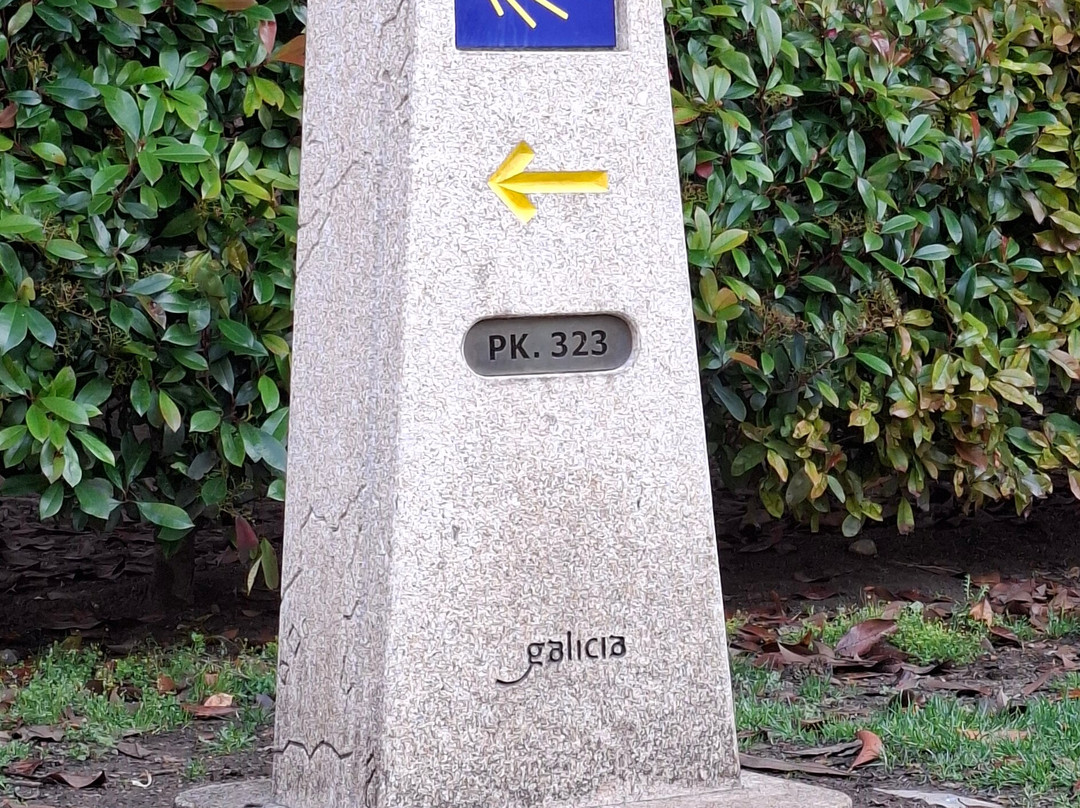 Tubuencamino-圣地亚哥德孔波斯特拉必去景点