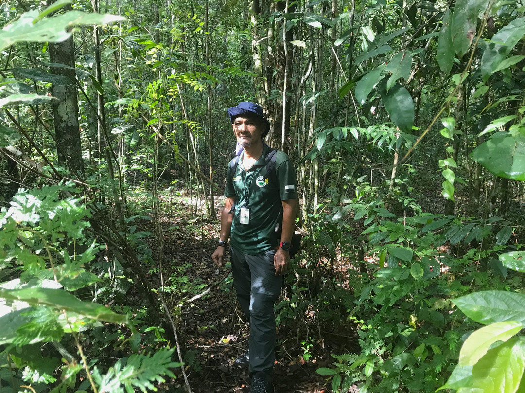 Taman Negara National Park-彭亨必去景点
