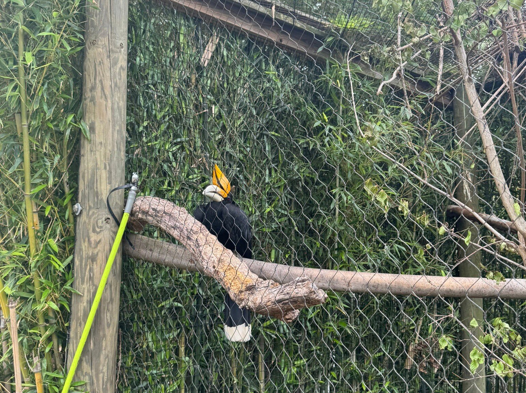 Virginia Zoo-诺福克必去景点