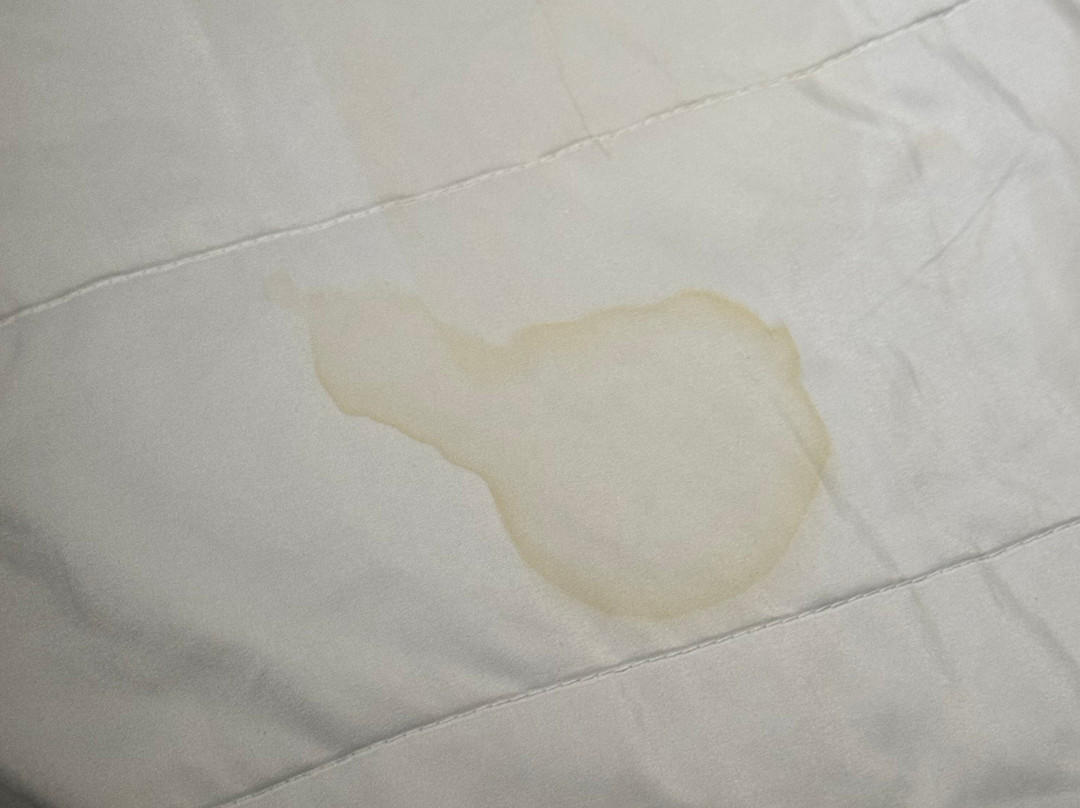 温德姆戴斯酒店 罗阿诺克/霍林斯 靠近I-81主图