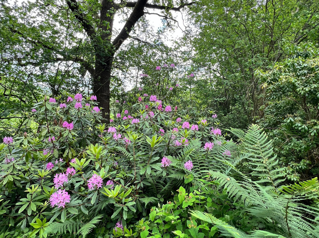 Moors Meadow Gardens-Bromyard必去景点