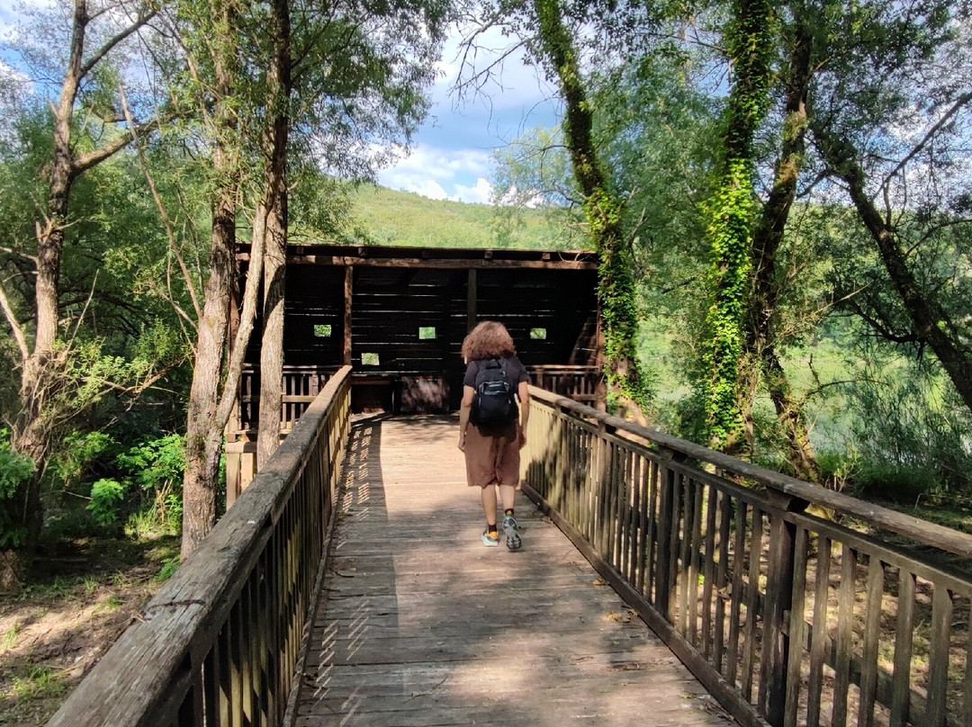 Oasi Fiume Alento-Prignano Cilento必去景点