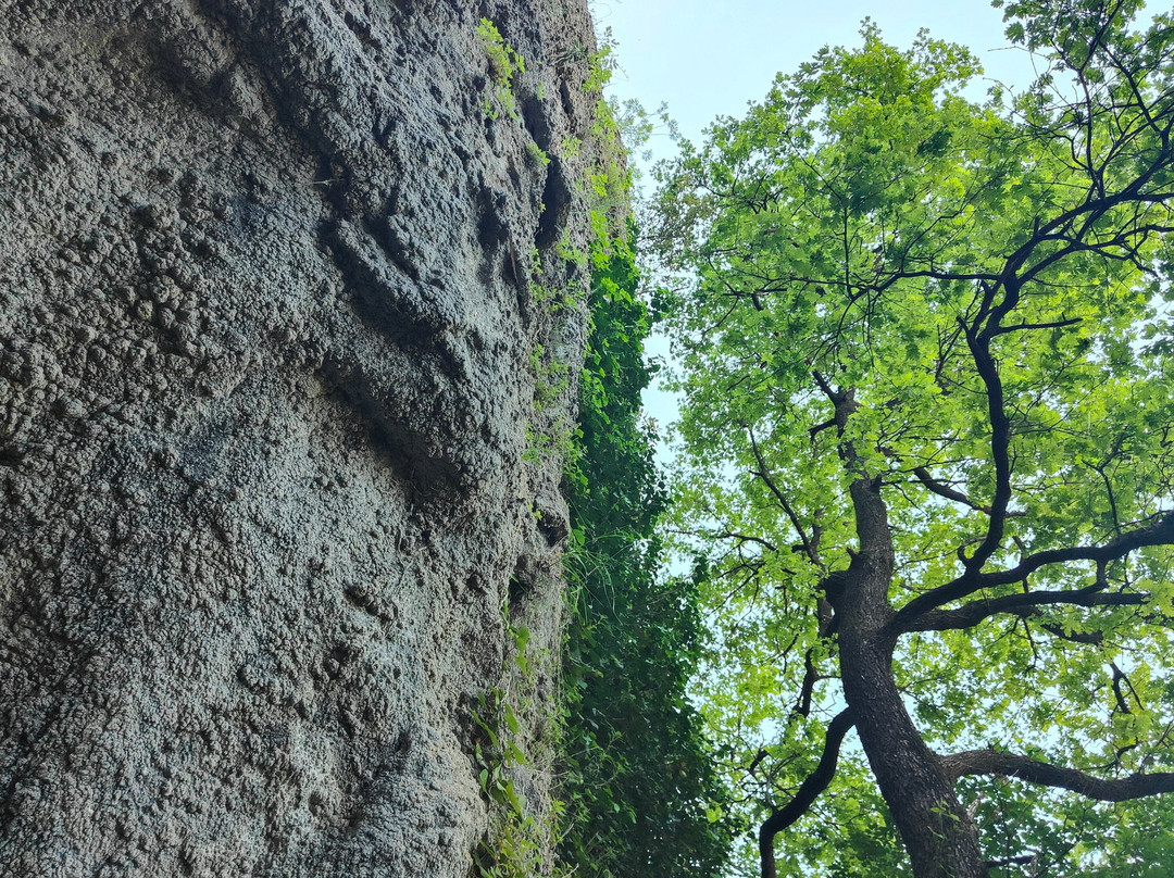 Grotta del Re Tiberio-Riolo Terme必去景点