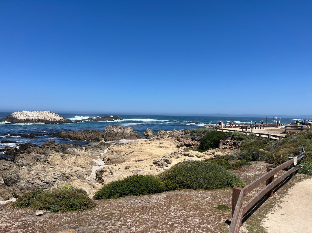 Bird Rock Vista Point-圆石滩必去景点