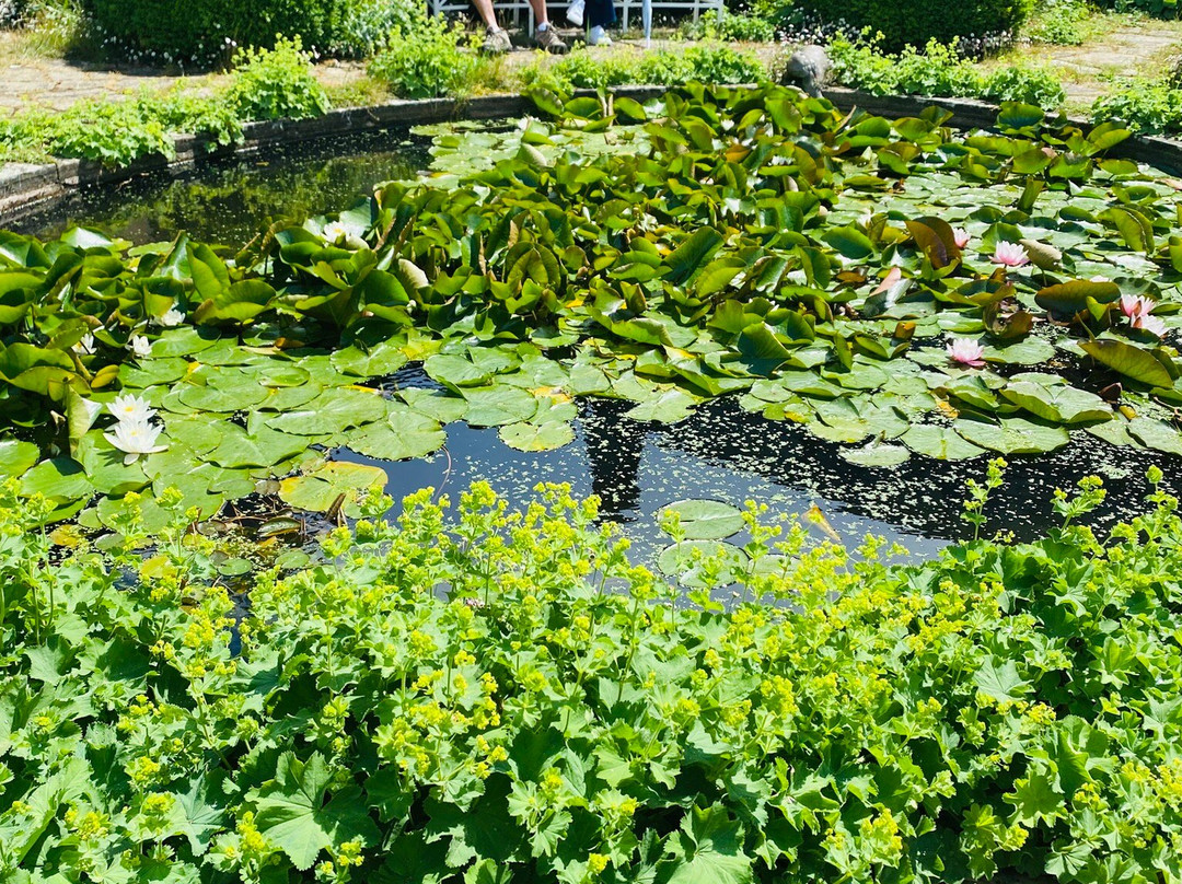 Somerleyton Hall Gardens-Somerleyton必去景点