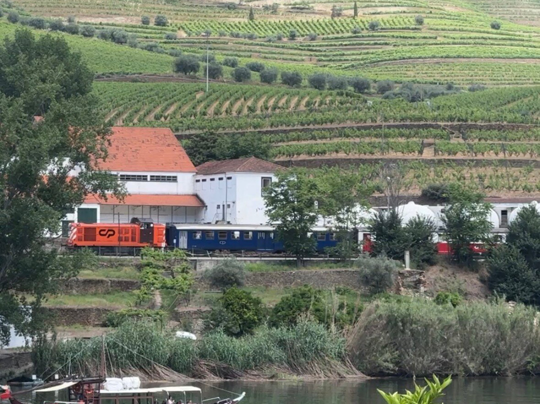 Quinta das Carvalhas-Pinhao必去景点