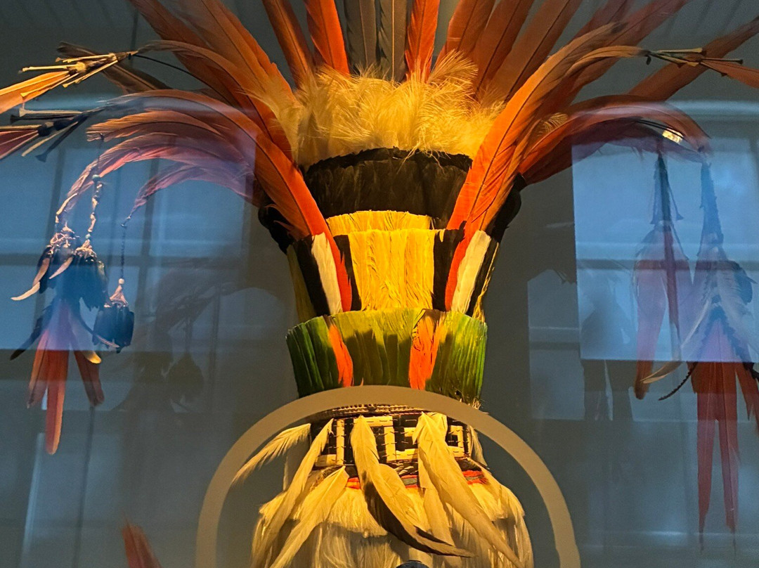 Wereldmuseum Leiden-莱顿必去景点