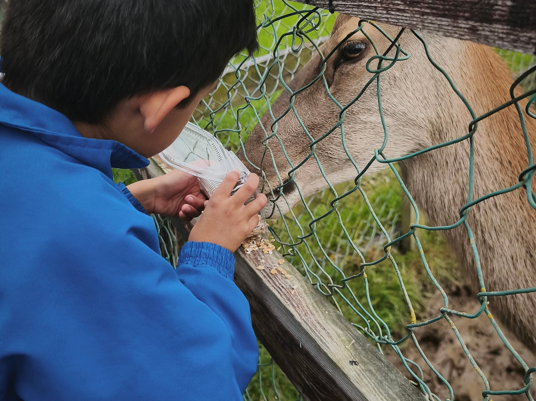 Kildare Farm Foods Open Farm & Shop-基尔代尔必去景点