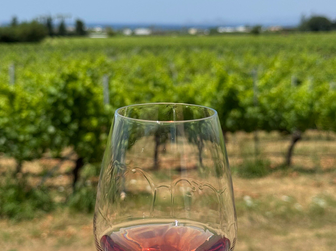 KTIMA AKRANI (Triantafyllopoulos Winery)-Asfendiou必去景点