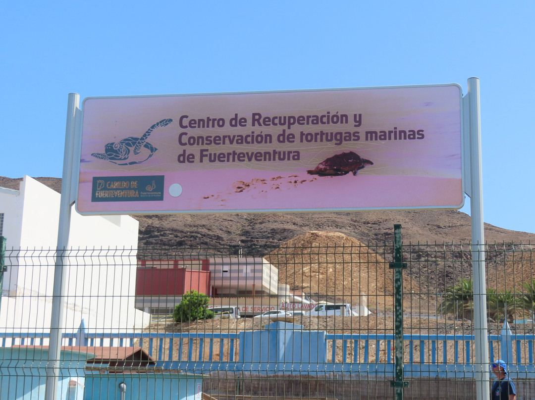 Turtle Nursery-Morro del Jable必去景点